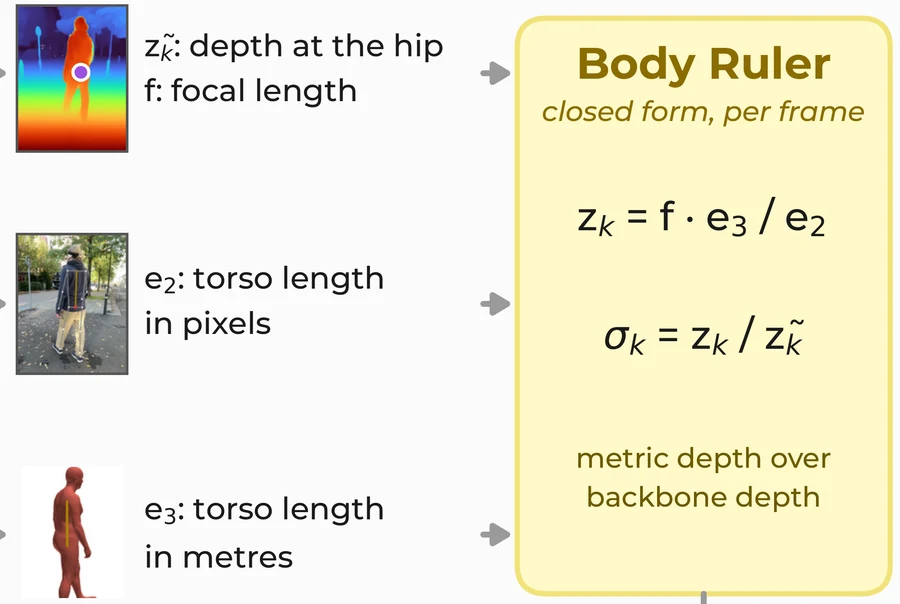 Body ruler: backbone depth, 2D torso length in pixels and metric torso length give a closed-form scale