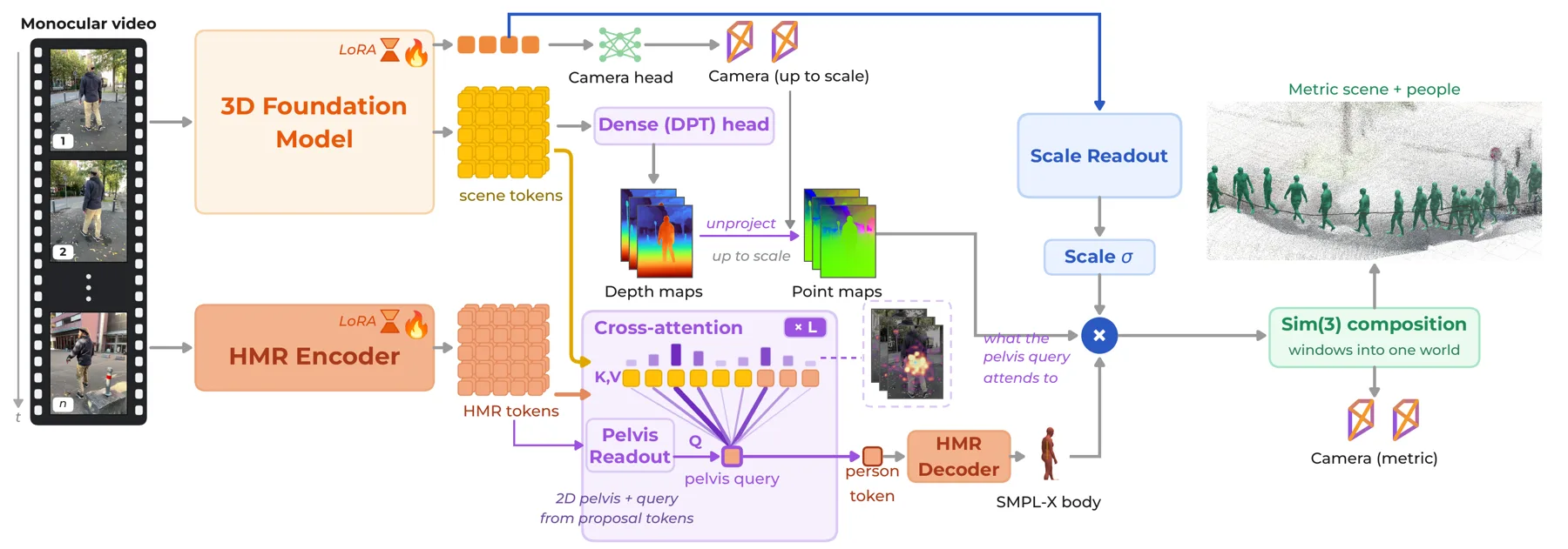 WildHSR architecture: 3D foundation model with Scale Readout, mesh branch with Pelvis Readout and cross-attention, Sim(3) composition into one metric world